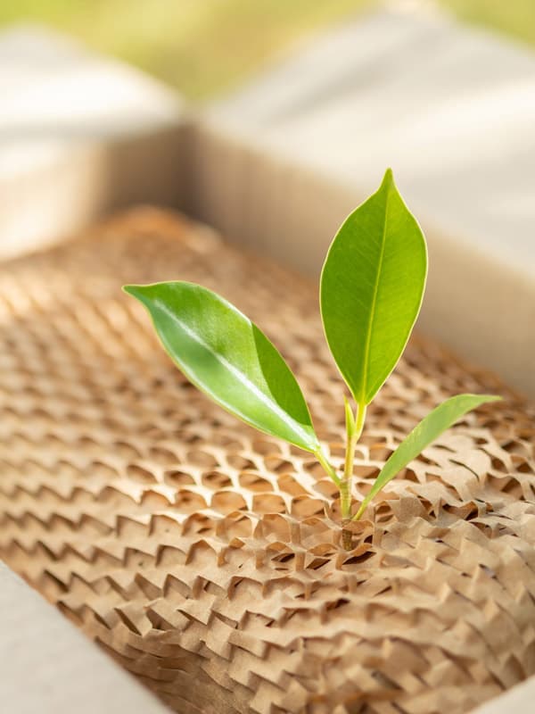 Cuidamos del planeta con cajas reciclables y sostenibles